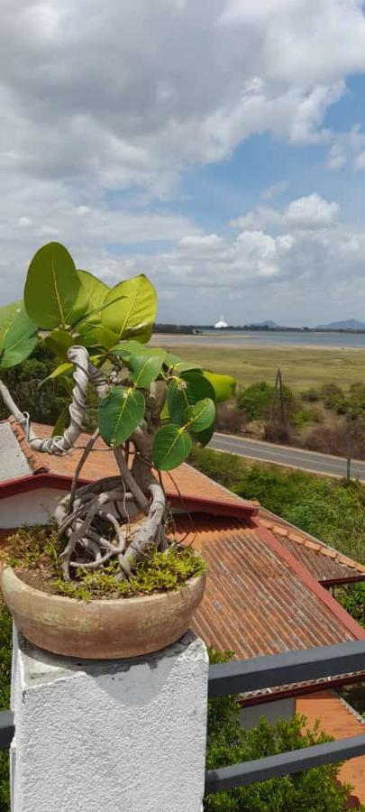 Lake Edge Resort Anuradhapura Esterno foto