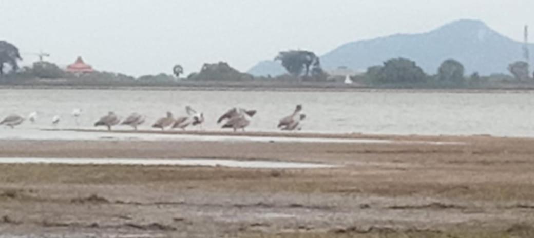 Lake Edge Resort Anuradhapura Esterno foto